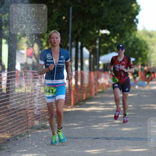 07.09.2025 - 19. Norderstedt Triathlon Michael Strokosch http://msf.ph/oto/8821317 07.09.2025 15:55:25 Laufen 439, 443, 450, 1510 meine-sportfotos.de