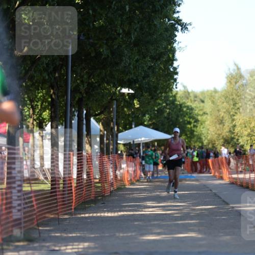 07.09.2025 - 19. Norderstedt Triathlon Michael Strokosch http://msf.ph/oto/8823134 07.09.2025 16:08:36 Laufen 439, 505, 953, 1491 meine-sportfotos.de
