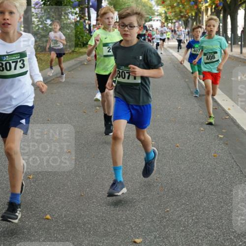 07.09.2025 - BARMER Alsterlauf Yannick Fuchs http://msf.ph/oto/8829784 07.09.2025 10:48:04 Laufen 36, 8073, 295, 2, 807, 407, 408 meine-sportfotos.de