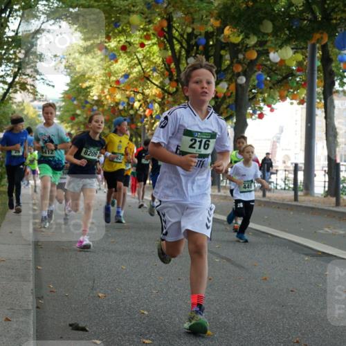 07.09.2025 - BARMER Alsterlauf Yannick Fuchs http://msf.ph/oto/8829814 07.09.2025 10:48:13 Laufen 8412, 8209, 62, 216, 449 meine-sportfotos.de