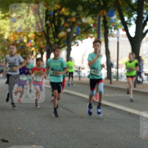07.09.2025 - BARMER Alsterlauf Yannick Fuchs http://msf.ph/oto/8829842 07.09.2025 10:48:19 Laufen 432 meine-sportfotos.de