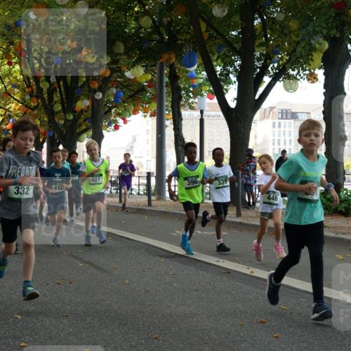 07.09.2025 - BARMER Alsterlauf Yannick Fuchs http://msf.ph/oto/8829883 07.09.2025 10:48:28 Laufen 427, 11, 421, 390, 339, 332, 205, 446, 86 meine-sportfotos.de