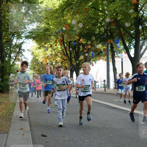 07.09.2025 - BARMER Alsterlauf Yannick Fuchs http://msf.ph/oto/8829901 07.09.2025 10:48:32 Laufen 8189, 8188, 240, 322, 256, 392 meine-sportfotos.de