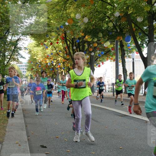 07.09.2025 - BARMER Alsterlauf Yannick Fuchs http://msf.ph/oto/8829918 07.09.2025 10:48:35 Laufen 296, 8085, 409, 8193, 445, 400, 433 meine-sportfotos.de