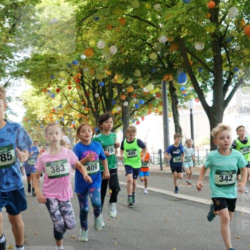 07.09.2025 - BARMER Alsterlauf Yannick Fuchs http://msf.ph/oto/8829927 07.09.2025 10:48:37 Laufen 135, 8085, 156, 383, 409, 193, 440, 288, 448, 222, 342, 445 meine-sportfotos.de