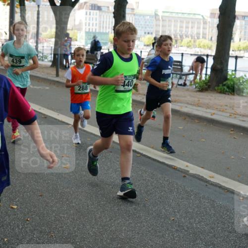 07.09.2025 - BARMER Alsterlauf Yannick Fuchs http://msf.ph/oto/8829936 07.09.2025 10:48:39 Laufen 45, 439, 36, 8277, 288, 440, 170 meine-sportfotos.de