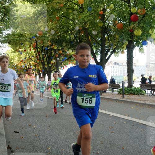 07.09.2025 - BARMER Alsterlauf Yannick Fuchs http://msf.ph/oto/8829944 07.09.2025 10:48:41 Laufen 273, 24, 265, 346, 439, 156 meine-sportfotos.de