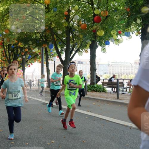 07.09.2025 - BARMER Alsterlauf Yannick Fuchs http://msf.ph/oto/8829952 07.09.2025 10:48:42 Laufen 1376, 266, 160, 403, 2 meine-sportfotos.de