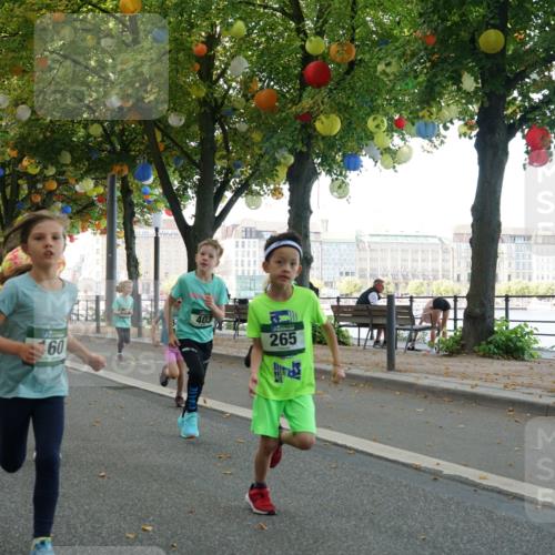 07.09.2025 - BARMER Alsterlauf Yannick Fuchs http://msf.ph/oto/8829954 07.09.2025 10:48:43 Laufen 8376, 266, 31316, 60, 403, 265 meine-sportfotos.de