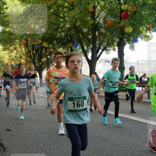 07.09.2025 - BARMER Alsterlauf Yannick Fuchs http://msf.ph/oto/8829956 07.09.2025 10:48:43 Laufen 227, 8376, 316, 266, 160, 346, 403, 334, 265 meine-sportfotos.de
