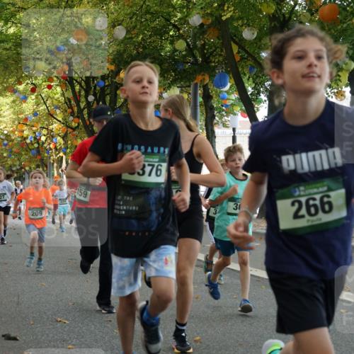 07.09.2025 - BARMER Alsterlauf Yannick Fuchs http://msf.ph/oto/8829964 07.09.2025 10:48:45 Laufen 38, 164, 227, 209, 159, 274, 376, 30, 266 meine-sportfotos.de