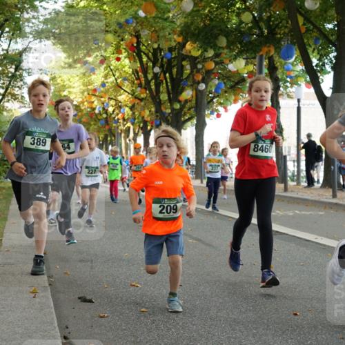 07.09.2025 - BARMER Alsterlauf Yannick Fuchs http://msf.ph/oto/8829969 07.09.2025 10:48:46 Laufen 389, 64, 227, 209, 237, 8460, 31, 59 meine-sportfotos.de