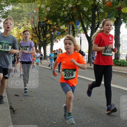 07.09.2025 - BARMER Alsterlauf Yannick Fuchs http://msf.ph/oto/8829973 07.09.2025 10:48:47 Laufen 389, 164, 36, 209, 8460 meine-sportfotos.de