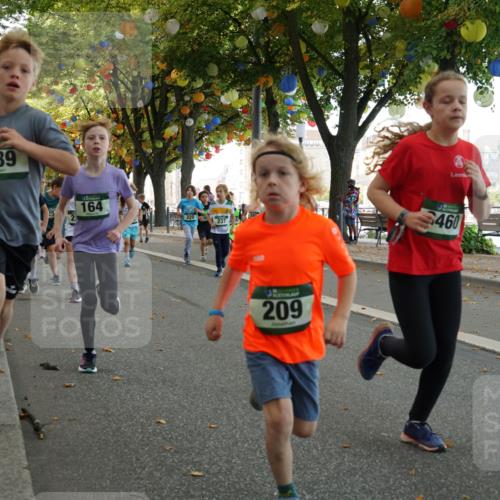 07.09.2025 - BARMER Alsterlauf Yannick Fuchs http://msf.ph/oto/8829974 07.09.2025 10:48:47 Laufen 389, 25, 164, 220, 237, 209, 460 meine-sportfotos.de
