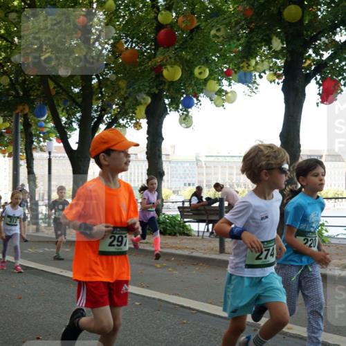 07.09.2025 - BARMER Alsterlauf Yannick Fuchs http://msf.ph/oto/8829998 07.09.2025 10:48:52 Laufen 360, 291, 274, 23, 220 meine-sportfotos.de