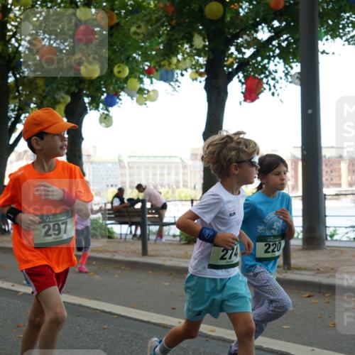 07.09.2025 - BARMER Alsterlauf Yannick Fuchs http://msf.ph/oto/8829999 07.09.2025 10:48:53 Laufen 297, 274, 20, 220 meine-sportfotos.de