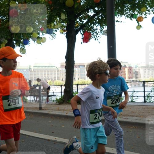 07.09.2025 - BARMER Alsterlauf Yannick Fuchs http://msf.ph/oto/8830000 07.09.2025 10:48:53 Laufen 297, 7, 36, 274, 220 meine-sportfotos.de