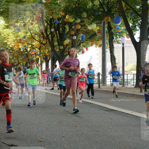 07.09.2025 - BARMER Alsterlauf Yannick Fuchs http://msf.ph/oto/8830059 07.09.2025 10:49:05 Laufen 341, 386, 20, 168, 385, 348, 330, 382, 195, 238 meine-sportfotos.de