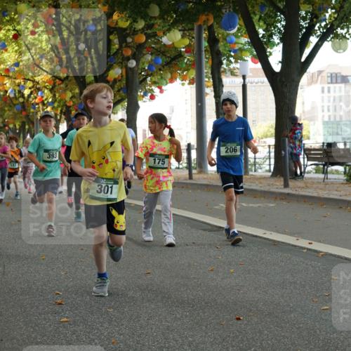 07.09.2025 - BARMER Alsterlauf Yannick Fuchs http://msf.ph/oto/8830077 07.09.2025 10:49:10 Laufen 52, 8297, 372, 182, 393, 301, 175, 206, 355 meine-sportfotos.de