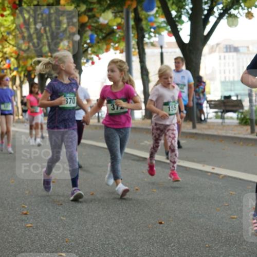 07.09.2025 - BARMER Alsterlauf Yannick Fuchs http://msf.ph/oto/8830098 07.09.2025 10:49:15 Laufen 370, 31, 155, 8483 meine-sportfotos.de