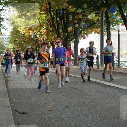 07.09.2025 - BARMER Alsterlauf Yannick Fuchs http://msf.ph/oto/8830103 07.09.2025 10:49:18 Laufen 276, 8087, 254, 181, 220, 215, 182 meine-sportfotos.de