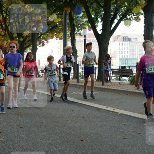 07.09.2025 - BARMER Alsterlauf Yannick Fuchs http://msf.ph/oto/8830107 07.09.2025 10:49:18 Laufen 254, 182, 282, 276, 181, 8220, 215, 8211 meine-sportfotos.de
