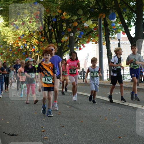 07.09.2025 - BARMER Alsterlauf Yannick Fuchs http://msf.ph/oto/8830110 07.09.2025 10:49:18 Laufen 28, 8220, 28087, 80, 255, 254, 215, 182 meine-sportfotos.de