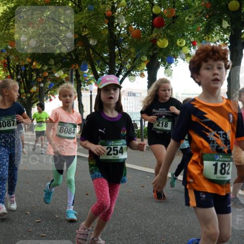 07.09.2025 - BARMER Alsterlauf Yannick Fuchs http://msf.ph/oto/8830126 07.09.2025 10:49:23 Laufen 38, 8087, 159, 8084, 254, 218, 182, 55 meine-sportfotos.de