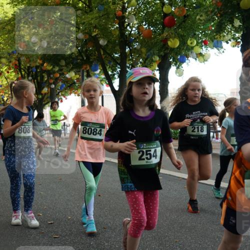 07.09.2025 - BARMER Alsterlauf Yannick Fuchs http://msf.ph/oto/8830128 07.09.2025 10:49:23 Laufen 8087, 159, 8084, 36, 254, 218, 190, 36, 182 meine-sportfotos.de
