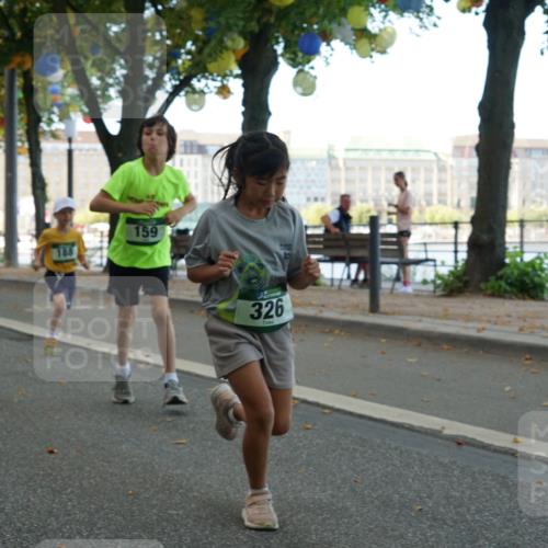 07.09.2025 - BARMER Alsterlauf Yannick Fuchs http://msf.ph/oto/8830135 07.09.2025 10:49:26 Laufen 338, 188, 159, 326 meine-sportfotos.de