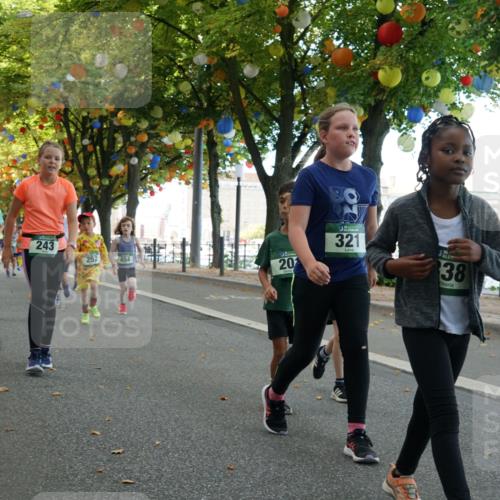 07.09.2025 - BARMER Alsterlauf Yannick Fuchs http://msf.ph/oto/8830147 07.09.2025 10:49:29 Laufen 249, 416, 243, 252, 20, 321, 38 meine-sportfotos.de