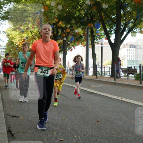 07.09.2025 - BARMER Alsterlauf Yannick Fuchs http://msf.ph/oto/8830152 07.09.2025 10:49:30 Laufen 356, 305, 41, 243, 252, 454, 176 meine-sportfotos.de
