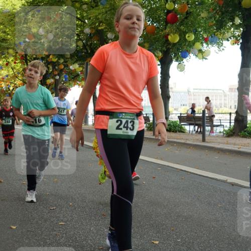 07.09.2025 - BARMER Alsterlauf Yannick Fuchs http://msf.ph/oto/8830160 07.09.2025 10:49:32 Laufen 356, 249, 305, 248, 16, 247, 36, 243, 176 meine-sportfotos.de