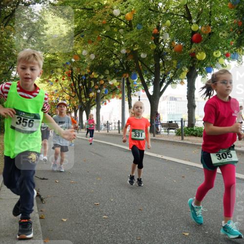 07.09.2025 - BARMER Alsterlauf Yannick Fuchs http://msf.ph/oto/8830173 07.09.2025 10:49:36 Laufen 356, 331, 305, 2 meine-sportfotos.de