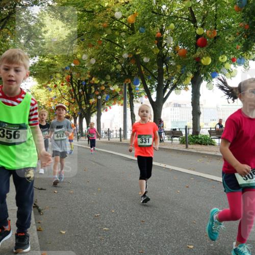 07.09.2025 - BARMER Alsterlauf Yannick Fuchs http://msf.ph/oto/8830174 07.09.2025 10:49:36 Laufen 356, 447, 331, 305 meine-sportfotos.de