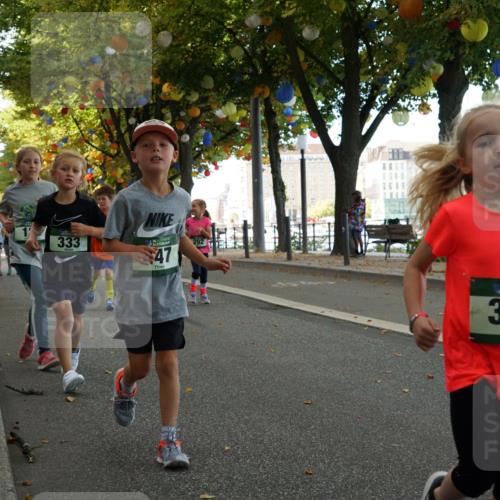 07.09.2025 - BARMER Alsterlauf Yannick Fuchs http://msf.ph/oto/8830178 07.09.2025 10:49:37 Laufen 333, 1, 47, 292, 36, 331 meine-sportfotos.de