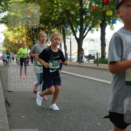 07.09.2025 - BARMER Alsterlauf Yannick Fuchs http://msf.ph/oto/8830182 07.09.2025 10:49:38 Laufen 278, 333, 447 meine-sportfotos.de
