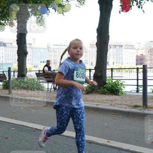07.09.2025 - BARMER Alsterlauf Yannick Fuchs http://msf.ph/oto/8830257 07.09.2025 10:49:57 Laufen 808 meine-sportfotos.de