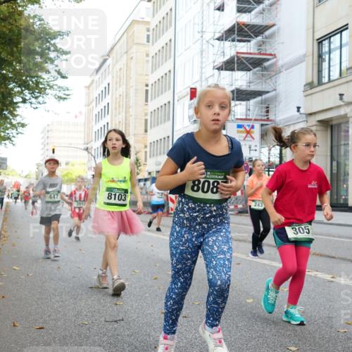 07.09.2025 - BARMER Alsterlauf Yannick Fuchs http://msf.ph/oto/8830388 07.09.2025 10:51:10 Laufen 447, 8103, 36, 808, 243, 305 meine-sportfotos.de