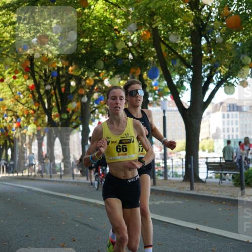 07.09.2025 - BARMER Alsterlauf Yannick Fuchs http://msf.ph/oto/8831051 07.09.2025 11:14:42 Laufen 66, 17 meine-sportfotos.de