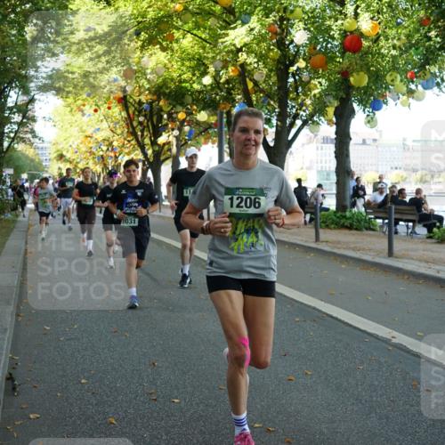 07.09.2025 - BARMER Alsterlauf Yannick Fuchs http://msf.ph/oto/8831280 07.09.2025 11:31:38 Laufen 11, 1031, 1206 meine-sportfotos.de