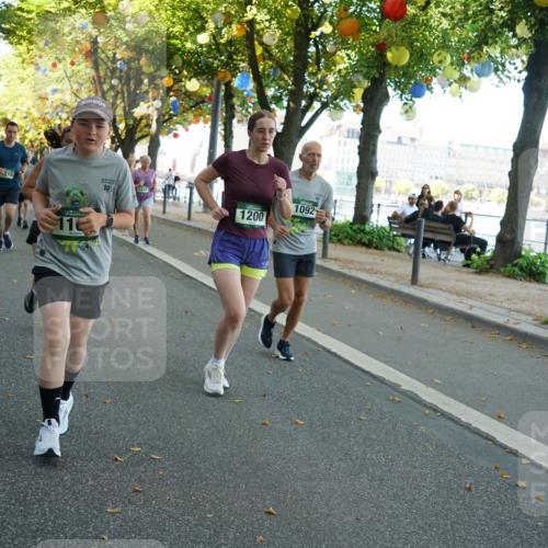 07.09.2025 - BARMER Alsterlauf Yannick Fuchs http://msf.ph/oto/8831406 07.09.2025 11:32:32 Laufen 218, 11, 19, 1247, 1200, 1092 meine-sportfotos.de