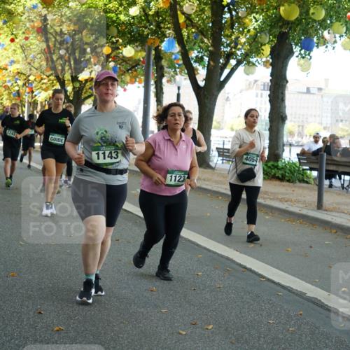 07.09.2025 - BARMER Alsterlauf Yannick Fuchs http://msf.ph/oto/8831525 07.09.2025 11:33:11 Laufen 1149, 10, 66, 1243, 1143, 1123, 4054 meine-sportfotos.de