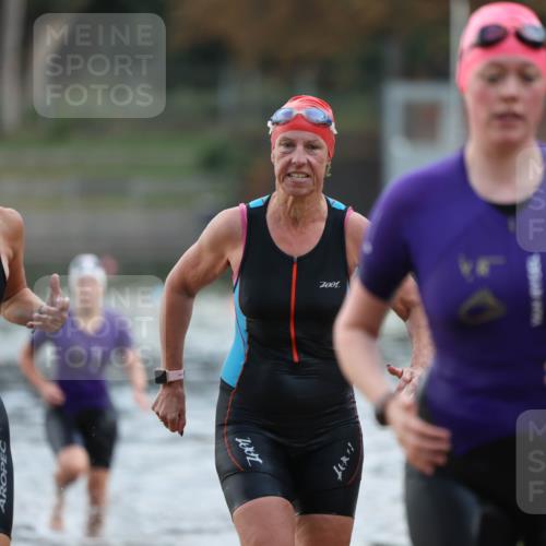14.09.2025 - Stadtparktriathlon Michael Strokosch http://msf.ph/oto/8870631 14.09.2025 11:15:05 Schwimmen 948, 974, 980, 998, 1008, 1014 meine-sportfotos.de