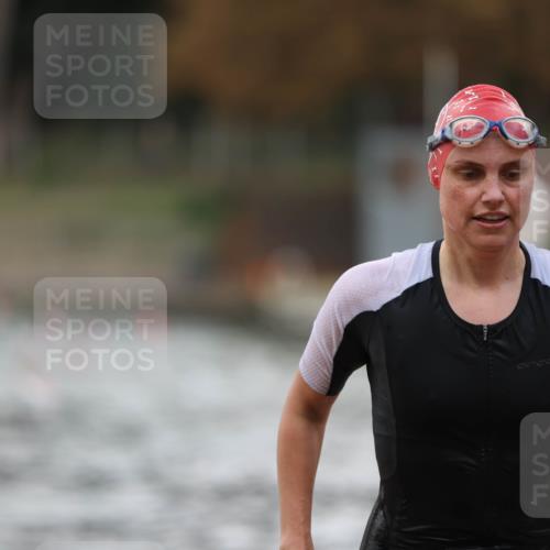 14.09.2025 - Stadtparktriathlon Michael Strokosch http://msf.ph/oto/8873045 14.09.2025 12:11:23 Schwimmen 1245, 1258, 1261, 1281, 1301, 1304 meine-sportfotos.de