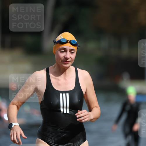 14.09.2025 - Stadtparktriathlon Michael Strokosch http://msf.ph/oto/8873302 14.09.2025 12:12:59 Schwimmen 1242, 1275, 1293, 1296 meine-sportfotos.de