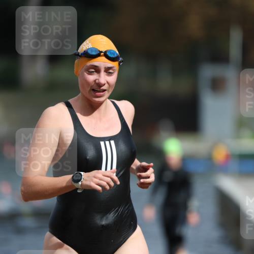 14.09.2025 - Stadtparktriathlon Michael Strokosch http://msf.ph/oto/8873304 14.09.2025 12:13:00 Schwimmen 1242, 1275, 1296 meine-sportfotos.de