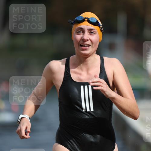 14.09.2025 - Stadtparktriathlon Michael Strokosch http://msf.ph/oto/8873307 14.09.2025 12:13:00 Schwimmen 1242, 1275, 1296 meine-sportfotos.de