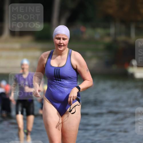 14.09.2025 - Stadtparktriathlon Michael Strokosch http://msf.ph/oto/8873441 14.09.2025 12:13:43 Schwimmen 1263, 1291, 1319 meine-sportfotos.de