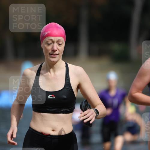 14.09.2025 - Stadtparktriathlon Michael Strokosch http://msf.ph/oto/8873445 14.09.2025 12:13:44 Schwimmen 1263, 1291, 1319 meine-sportfotos.de